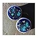 Pair - Bioluminescent Blue Glass Ear Plugs Organic Handmade double-flared gauges stretchers body jewelry