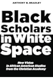 Black Scholars in White Space: New Vistas in African American Studies from the Christian Academy