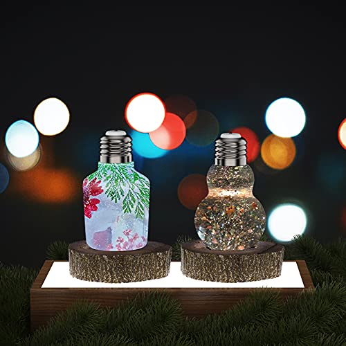 Resin Light Bulb Mold, Silicone Resin Molds 5 Pcs Including 2 Resin Casting Molds, 2 Rechargeable USB RGB Screw Base and 1 Charging Cable