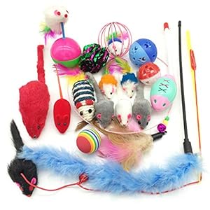 PietyPet Katzenspielzeug, Katze Toys Variety Pack, Spielzeug für Katzen Kitty 18 Stück