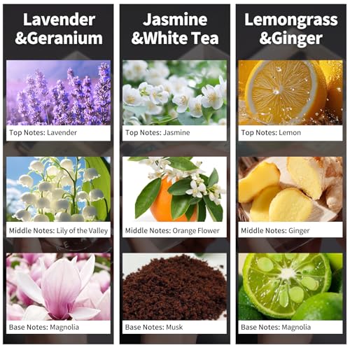 3 Pack Reed Diffuser Set,50ML Lavender Jasmine Lemongrass Aromatherapy Essential Oil Diffuser with 12 Black Fiber Sticks,Air Freshener Sticks Diffuser for Bathroom– Long Lasting Scent Diffuser Sticks
