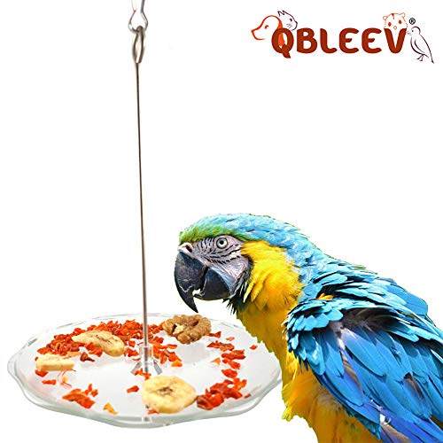QBLEEV Bird Food Holder，Parrot Foraging Toy for Birdcage，Bird Acrylic Feeding Bowls with Stainless Steel Skewer，Pet Fruit Seed Nuts Feeder for Conure Cockatiel African Grey (S-4.7″ Length)