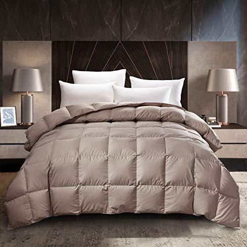 C&W Luxurious Goose Down Comforter Queen Size Down Duvet Insert with