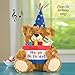 Collections Etc Musical Happy Birthday Plush Bear with Cake-Shaped Holder for Gift Cards or Cash