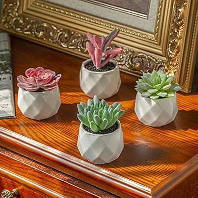 Artificial Succulent Plants Decor,4 Pieces of Various Fake Succulents in Mini White Ceramic Pots for Desk, Office… 51NtDE3FZZL