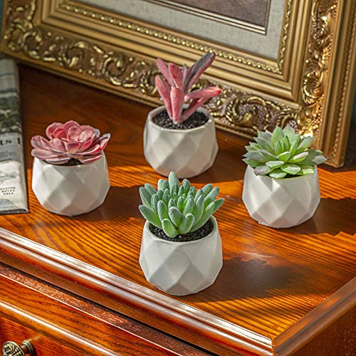 51NtDE3FZZL 51NtDE3FZZL