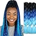 XtrendHair 5pcs 3 Tone Ombre Braiding Hair Multicolor Crochet Braids Synthetic Hair for Women Hair Extensions 24 Inch (48#, 5pcs/Lot)