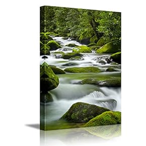 Beautiful Scenery Silky Water Cascading Over Bright Green MossCovered Boulders in a Tennessee Stream ing ped - Canvas Art Wall Art - 18" x 12"
