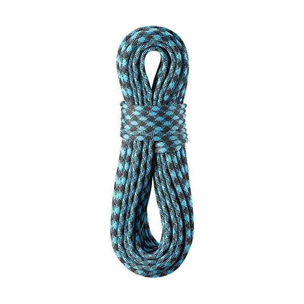 EDELRID Cobra 10,3 Kletterseil, Black-Blue, 70m