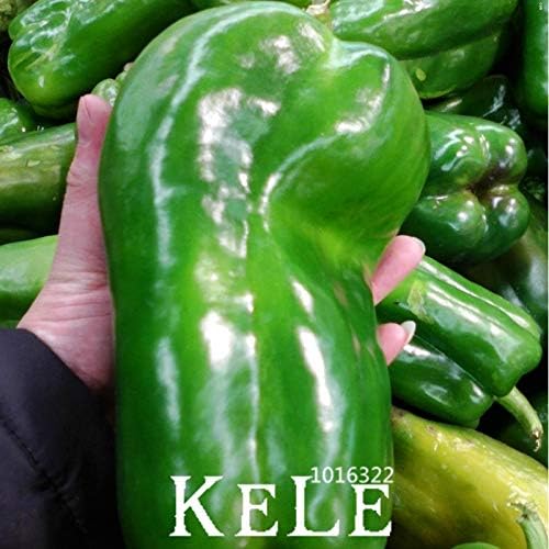 AGROBITS Pérdida de la promoción! Gigante Pimiento bricolaje ...