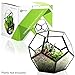 KIBAGA Geometric Terrarium - Modern Indoor Plant Terrarium with 2x Free Tealight Candles - Elegant DIY Glass Terrarium Home for Succulents and other Plants