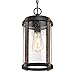 Westinghouse 6358900 Armin One-Light, Textured Black Finish with Barnwood Accents and Clear Seeded Glass OUTDOOR PENDANT,