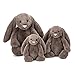 Jellycat Bashful Truffle Bunny Stuffed Animal, Medium, 12 inches