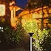 OxyLED Solar Garden Path Lights Outdoor, Solar Globe Light Stakes, Color-Changing LED Garden Light Landscape Lighting, Auto On/Off Dusk to Dawn (2 Pack)