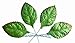 50 Pcs Mixed Rose Leaves Mulberry Paper Artificial Leaf, Mulberry Paper Leaves
