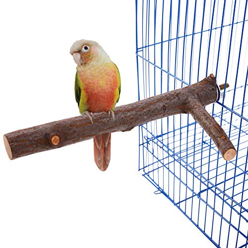 QBLEEV Bird Perch Parrot Play Stands Natural Wood Tree Branch for Small Parrots Birds (Bird Cage Not Include)-7.87 inches Length-Diameter 0.78inch