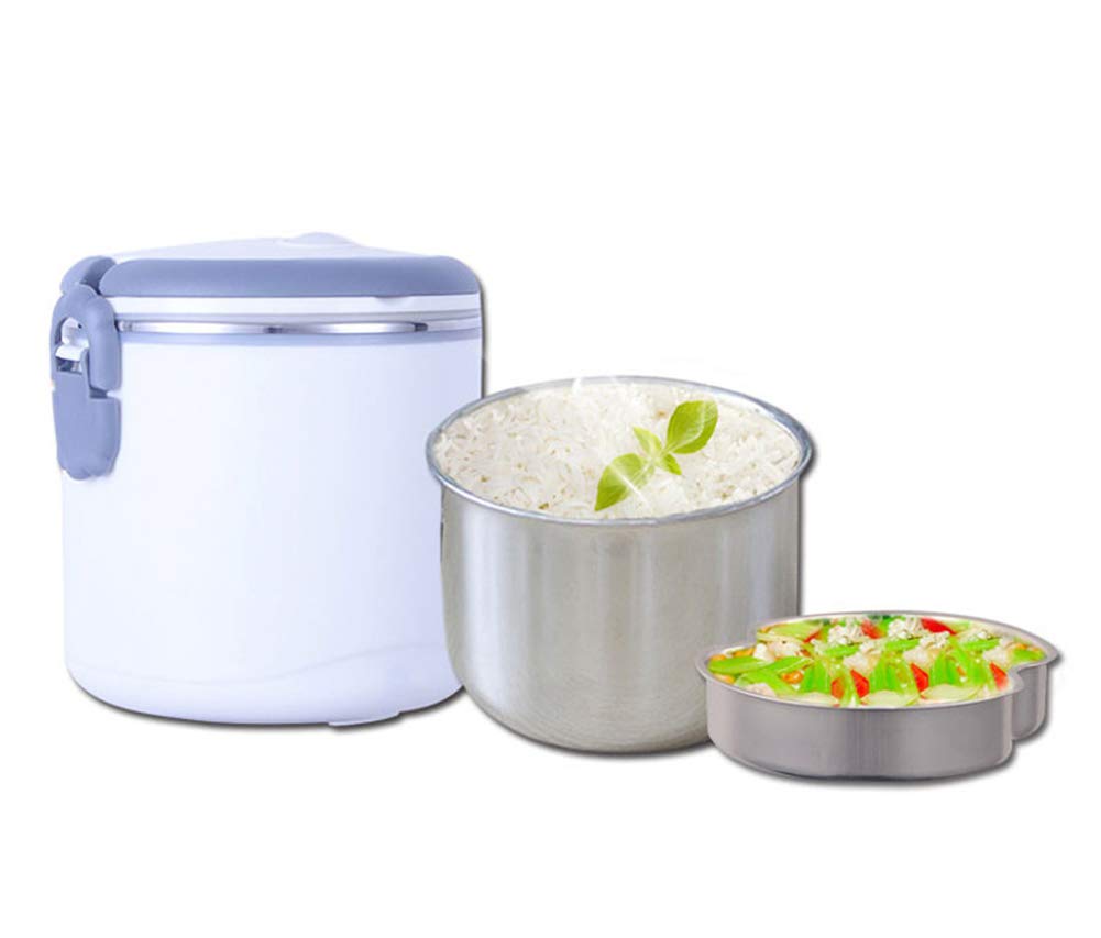 Fiambrera Electrica Coche Portátiles 12V Bandeja Extraíble Acero ...