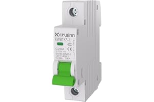 KERWINN DC Miniature Circuit Breaker 12V-110V Circuit Breaker 1Pole 20Amp Smart Circuit Breaker DIN Rail Mount for Battery Power Systems,Solar photovoltaic Systems(C20A)