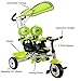 Baby Stroller Tricycle Toy Bike Baby Toddler Ride Green Twins Kids Child Push Toy Outdoor Trike MD Group