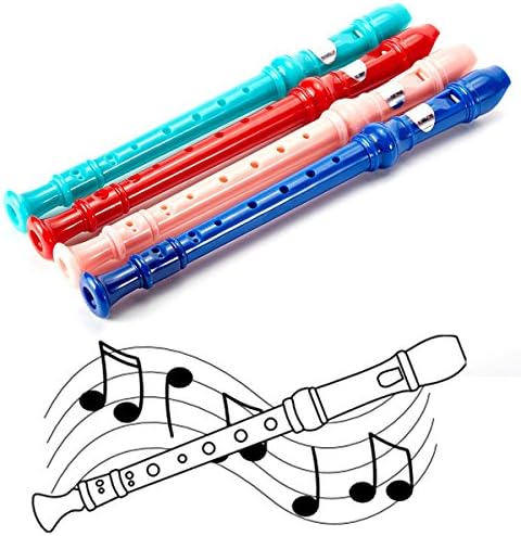 Soprano Recorder，BANGCHIC 8 Hole Instrument Recorder for The Musician and Student(Including Cleaning Rod and Instruction) Red