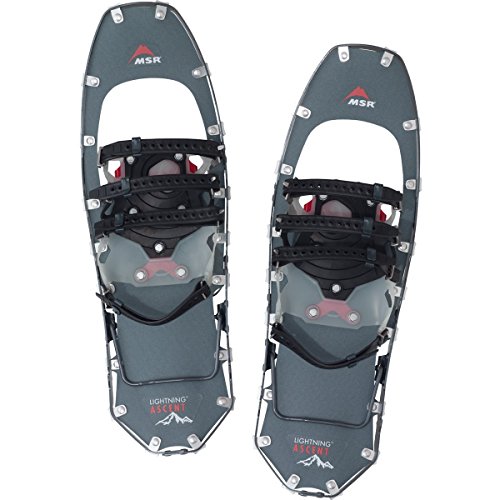 Snowshoes