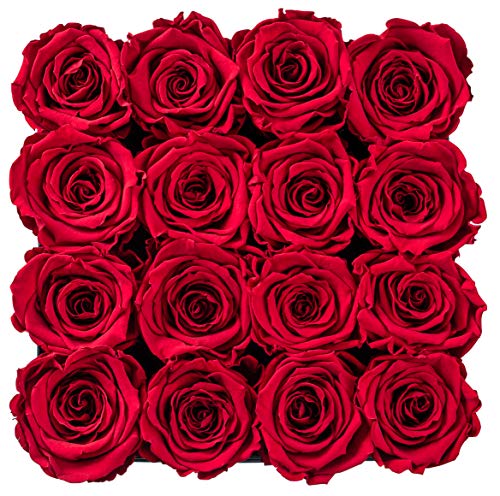 Soho Floral Arts | Real Roses That Last a Year and More| Fresh Flowers |Eternal Roses in a Box (Red 16 X-Large Roses) - Thumbnail 3
