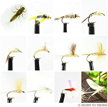 Pale morning dun fly Clearance