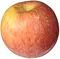 Organic Fuji Apple, One Large