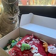 BoxCat Monthly Subscription Box