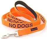 NO DOGS Orange Color Coded Nylon 4 Foot Padded Dog Leash (Not Good with Other Dogs), Prevents Accidents By Warning Others of Your Dog in Advance