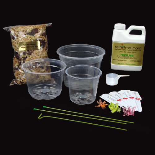 Phalaenopsis Orchid Growing Starter Kit Includes Instruction Sheet