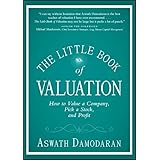 The Little Book of Valuation: How to Value a Company, Pick a Stock and Profit