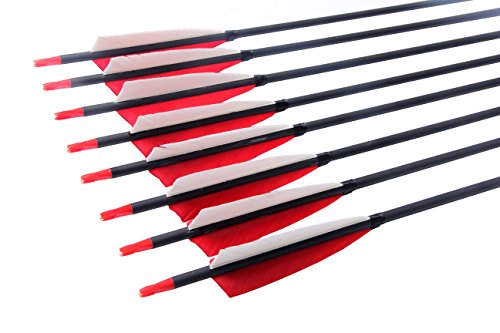 image for PG1ARCHERY 30 Inch Archery Hunting Target Arrows, Carbon Arrows 5