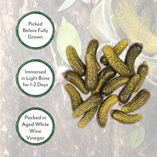 Roland Foods Premium Quality Small Cornichons, Specialty Imported Food