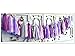 24 PCS Originals Group Purple Lavender Lilac White Shinny Purple Tissue Paper Tassels for Party Wedding Gold Garland Bunting Pom Pom …