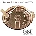30 oz Stainless Steel Tumbler - Insulated Travel Cup with Lid that Closes and Bonus Straw - Keep Cold or Hot Drinks at the Perfect Temperature for Your One Busy Life (Stainless)
