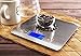 Zenith Digital Kitchen Scale by Ozeri, in Refined Stainless Steel with Fingerprint Resistant Coating