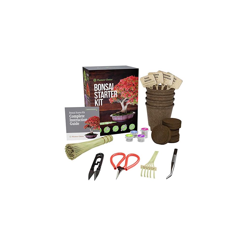 Planters' Choice Succulent & Cactus Growing Kit with Moisture Meter