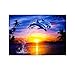 Hot Sale!!5D Embroidery Paintings Cross Stitch Rhinestone Pasted DIY Diamond Painting (D)