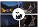APOLLED Camping Lantern, 30 LED Camping lights with Batteries, Ultra Bright, Portable, Waterproof Lights for Hiking, Camping, Emergencies (Black,1 pack).
