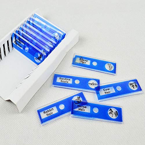 image for Yinpinxinmao 12Pcs DIY Specimen Microscope Slides Children Biology Sci