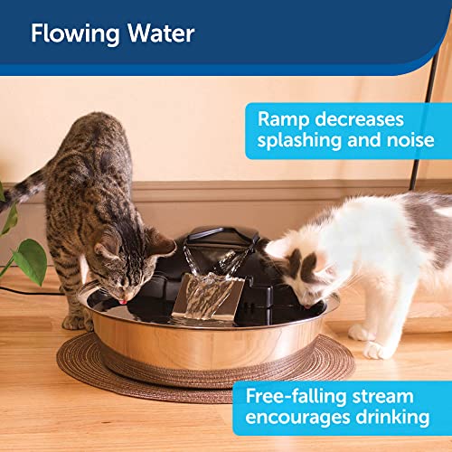 PetSafe Drinkwell Zen Stainless Steel Dog and Cat Water Fountain, Pet