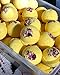 Spa Gift Box: 9 Bath Bombs