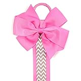 Wrapables Hair Clip and Hair Bow Holder, Hot Pink Chevron