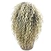 BonJoJo Afro Kinky Curly Wig Blonde Highlights Short Side Part Ombre Synthetic African Fluffy Hair Heat Resistant