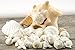 White Decorative Sea Shell Mix with Conch Shell | 6-8