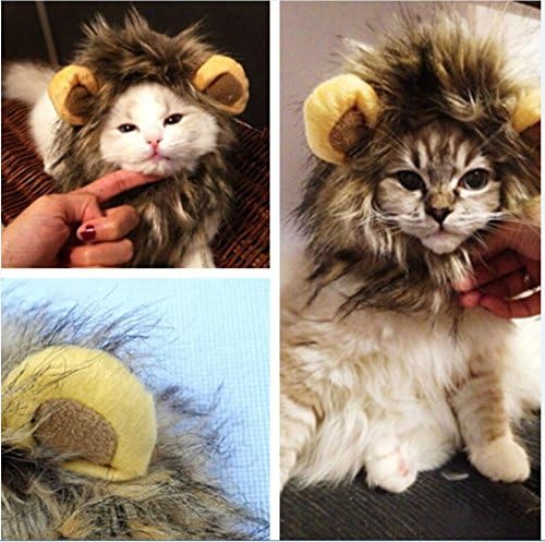 yunt Löwenkostüm für Hund Katze Halloween Kleid bis mit Ohren