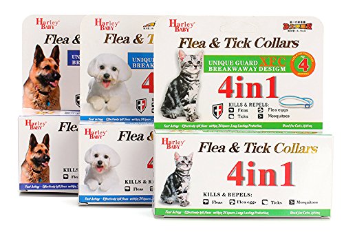 Pet collar natural pest control collar for small dogs and cat can kill parasites (For Cat)
