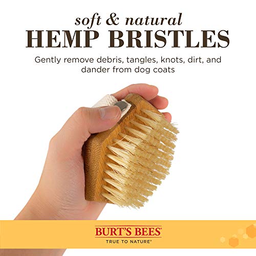 Burt's Bees for Dogs Palm Brush with Hemp Bristles Best Ergonomic Dog