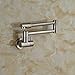 Rozin Wall Mounted Single Cold Water Kitchen Sink Faucet Folding Swivel Spout Tap Brushed Nickel